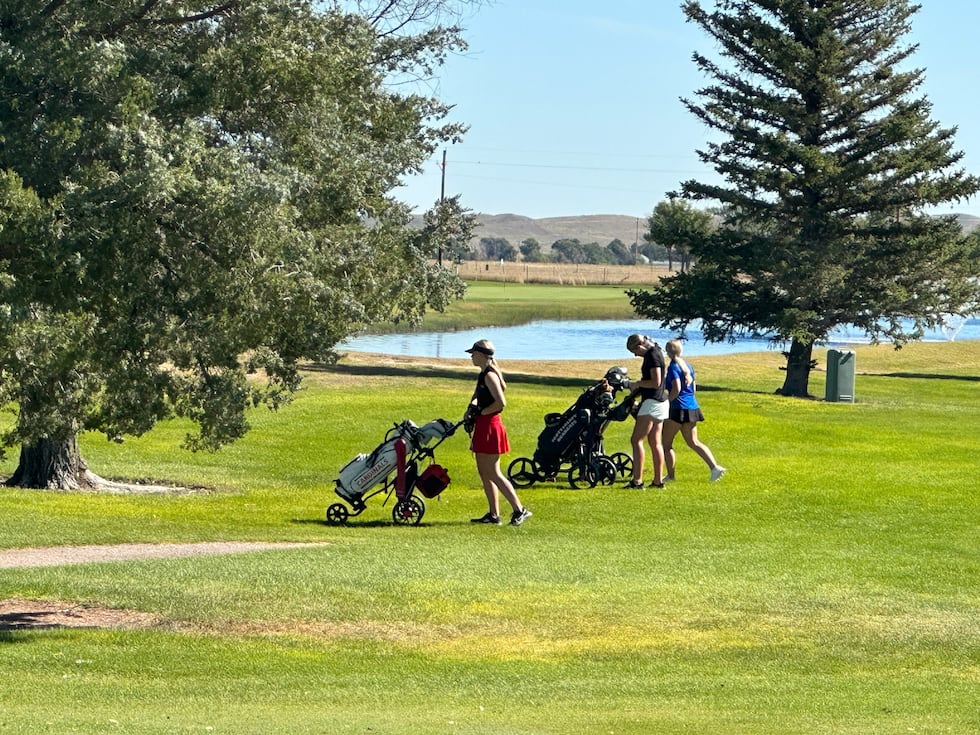 Local golfers in Alliance for annual Bulldogs Invite on Monday.
